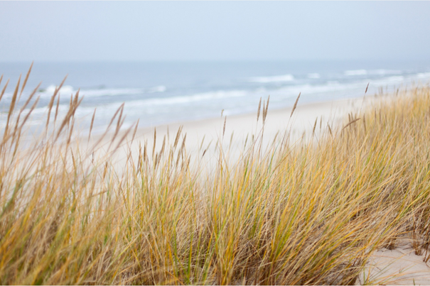 Das Meer besuchen als Trauerritual